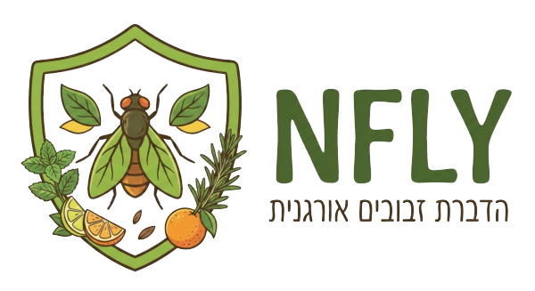 logo nfly