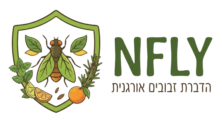 logo nfly new11